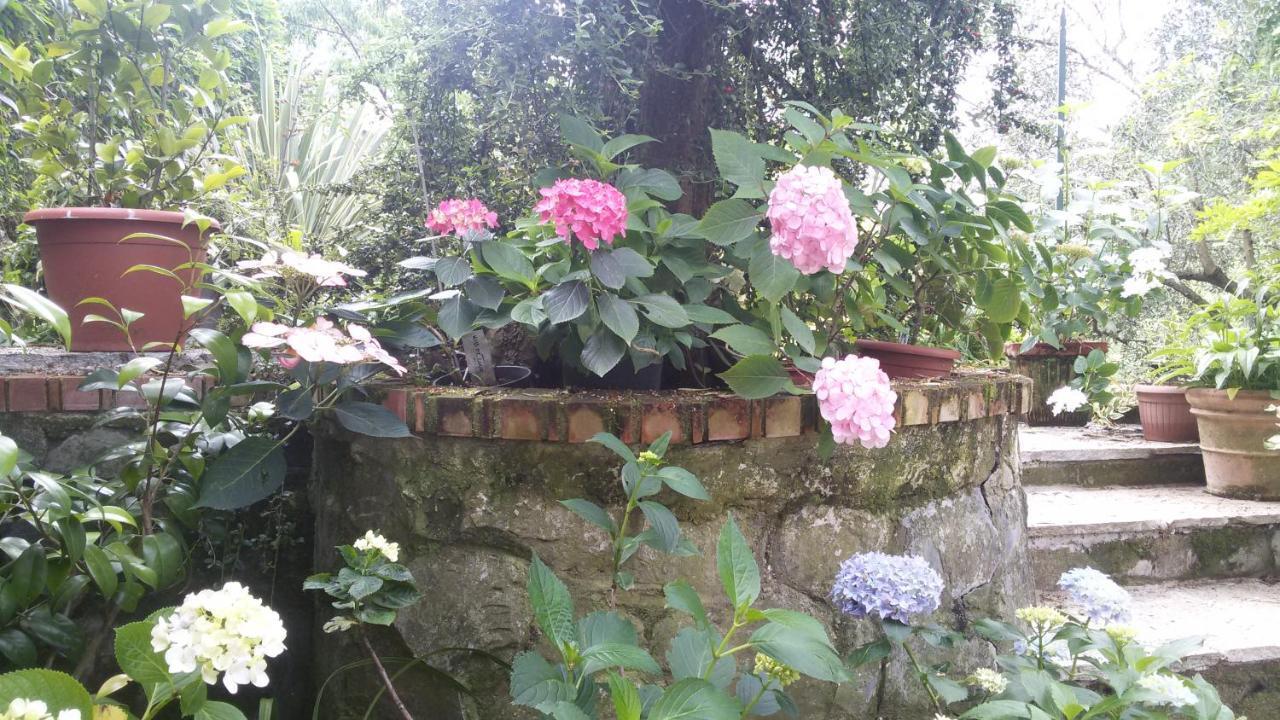 Il Giardino Delle Ortensie Apartment Salto Chiesa Luaran gambar